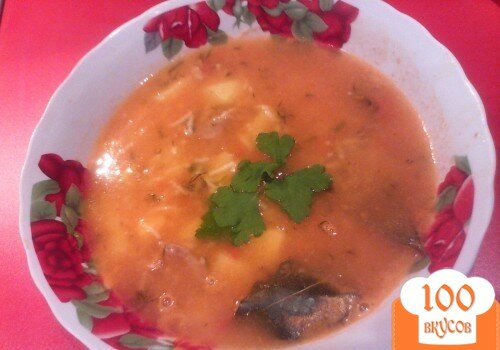 Фото рецепта: «Картофельно-мясной суп с кетчупом»