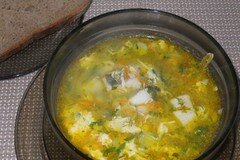 Фото рецепта: Суп из судака по-польски