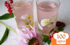 Фото рецепта: Напиток из красной смородины и листьев эхинацеи пурпурной