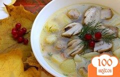 Фото рецепта: Суп из белых грибов на мясном бульоне