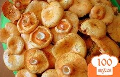 Фото рецепта: Засолка грибов рыжиков холодным способом