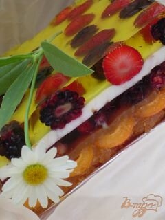 «Желейный торт с ягодами и шоколадной крошкой» - приготовления блюда - шаг 9
