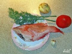 «Суп из морского окуня» - приготовления блюда - шаг 1