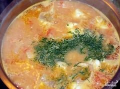 «Суп из морского окуня» - приготовления блюда - шаг 6