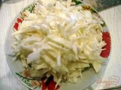 «Щи на грибном бульоне» - приготовления блюда - шаг 4