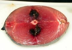«Суши со свежим тунцом» - приготовления блюда - шаг 3